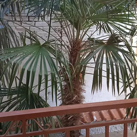 Steve's House & Eldi Apartment *