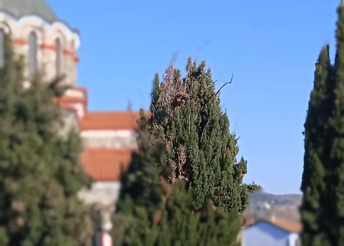 Apartamento Steve's House & Eldi