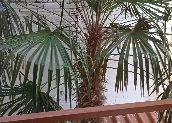 Steve's House & Eldi Apartamento *