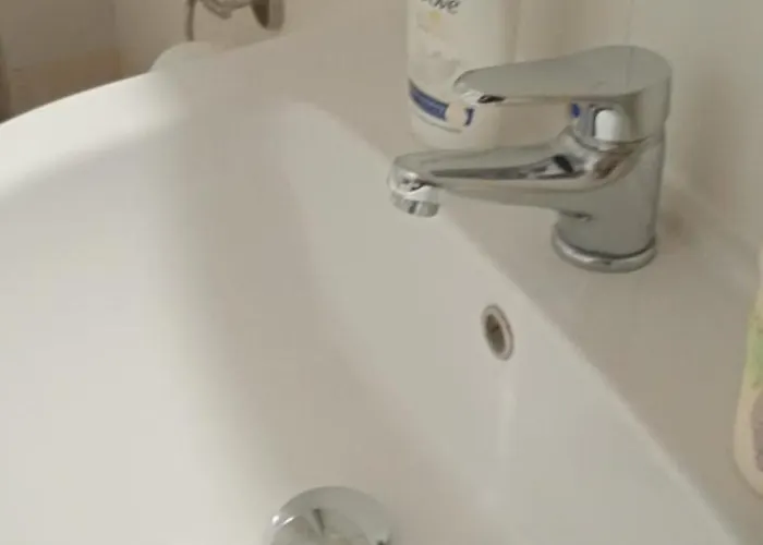 Steve's House & Eldi